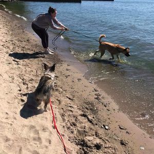 Meet your Posher, Camille